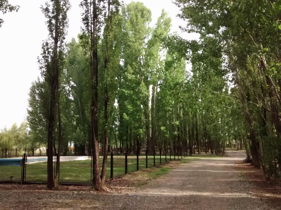 Terrazas En El Bosque Cabanas Malargüe Exterior foto